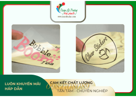 IN TEM NHỰA