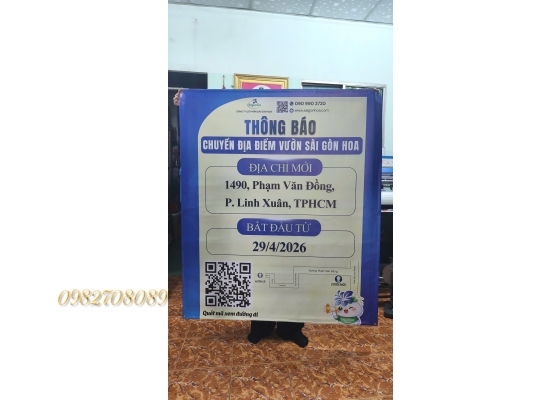 BĂNG RÔN/ BẠT HIFLEX
