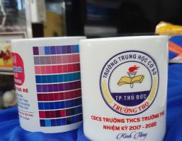 Dịch Vụ In Ly Sứ TPHCM Theo Yêu Cầu I Bền Đẹp, Sắc Nét