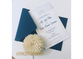 MẪU THIỆP CƯỚI M01