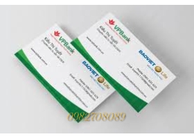 IN NAME CARD - DANH THIẾP 8