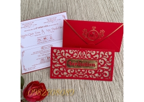 MẪU THIỆP CƯỚI 2009 Đỏ - Xanh Dương